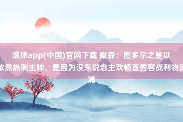 滚球app(中国)官网下载 默森：图多尔之是以依然热刺主帅，是因为没东说念主欢畅首秀客战利物浦
