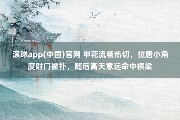 滚球app(中国)官网 申花流畅热切，拉唐小角度射门被扑，随后高天意远命中横梁