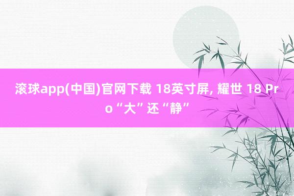 滚球app(中国)官网下载 18英寸屏， 耀世 18 Pro“大”还“静”
