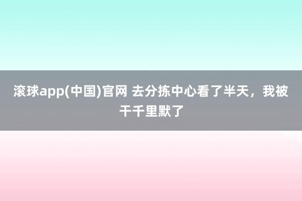 滚球app(中国)官网 去分拣中心看了半天，我被干千里默了