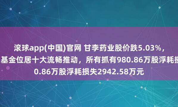 滚球app(中国)官网 甘李药业股价跌5.03%，招商基金旗下2只基金位居十大流畅推动，所有抓有980.86万股浮耗损失2942.58万元