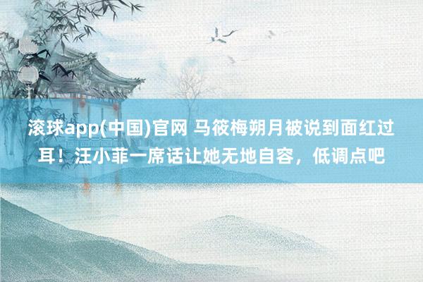 滚球app(中国)官网 马筱梅朔月被说到面红过耳！汪小菲一席话让她无地自容，低调点吧