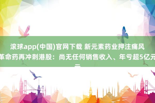 滚球app(中国)官网下载 新元素药业押注痛风革命药再冲刺港股：尚无任何销售收入、年亏超5亿元