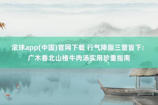滚球app(中国)官网下载 行气降脂三管皆下: 广木香北山楂牛肉汤实用珍重指南