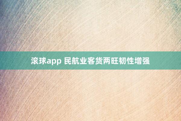 滚球app 民航业客货两旺韧性增强