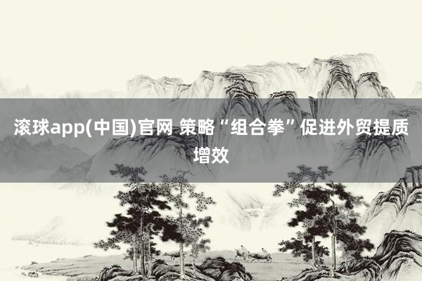 滚球app(中国)官网 策略“组合拳”促进外贸提质增效