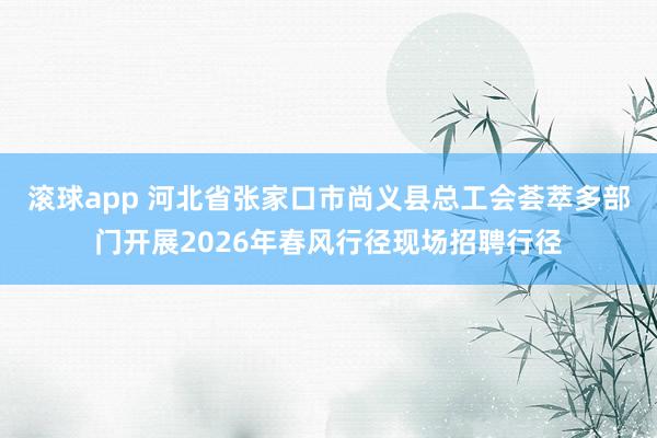 滚球app 河北省张家口市尚义县总工会荟萃多部门开展2026年春风行径现场招聘行径