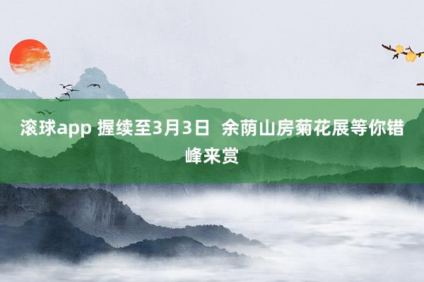 滚球app 握续至3月3日  余荫山房菊花展等你错峰来赏