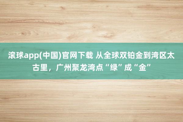 滚球app(中国)官网下载 从全球双铂金到湾区太古里，广州聚龙湾点“绿”成“金”