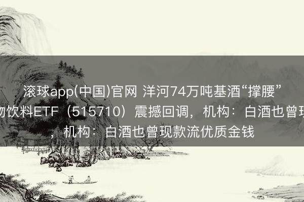 滚球app(中国)官网 洋河74万吨基酒“撑腰”!华宝基金食物饮料ETF(515710)震撼回调,机构:白酒也曾现款流优质金钱