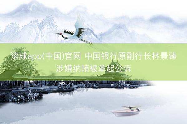 滚球app(中国)官网 中国银行原副行长林景臻涉嫌纳贿被拿起公诉