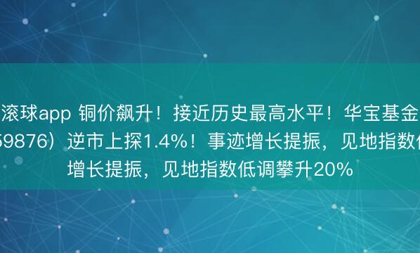滚球app 铜价飙升！接近历史最高水平！华宝基金有色ETF（159876）逆市上探1.4%！事迹增长提振，见地指数低调攀升20%