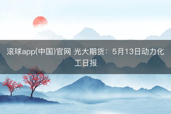 滚球app(中国)官网 光大期货：5月13日动力化工日报