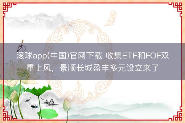 滚球app(中国)官网下载 收集ETF和FOF双重上风，景顺长城盈丰多元设立来了