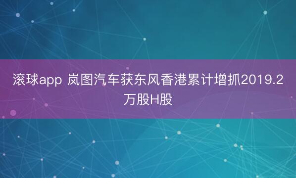 滚球app 岚图汽车获东风香港累计增抓2019.2万股H股