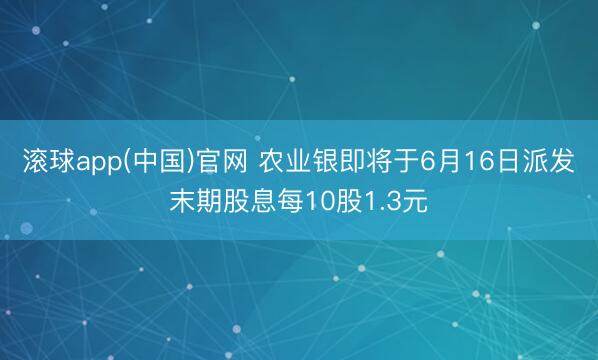 滚球app(中国)官网 农业银即将于6月16日派发末期股息每10股1.3元