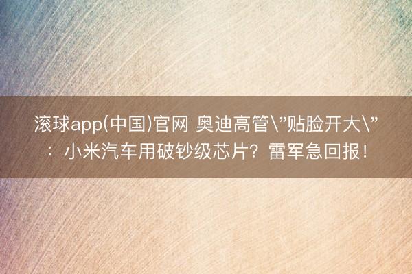 滚球app(中国)官网 奥迪高管