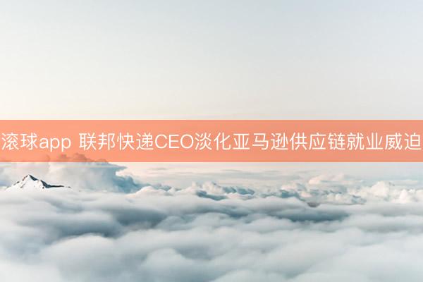 滚球app 联邦快递CEO淡化亚马逊供应链就业威迫