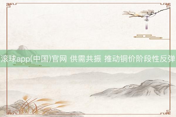 滚球app(中国)官网 供需共振 推动铜价阶段性反弹