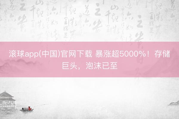 滚球app(中国)官网下载 暴涨超5000%！存储巨头，泡沫已至