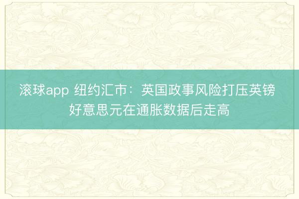 滚球app 纽约汇市：英国政事风险打压英镑 好意思元在通胀数据后走高