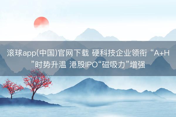 滚球app(中国)官网下载 硬科技企业领衔 “A+H”时势升温 港股IPO“磁吸力”增强