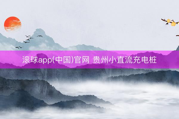 滚球app(中国)官网 贵州小直流充电桩