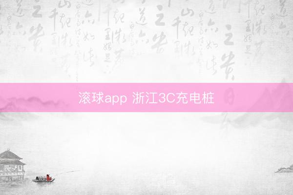 滚球app 浙江3C充电桩