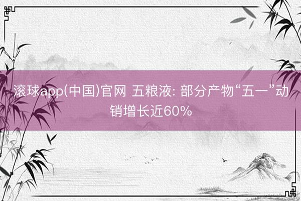 滚球app(中国)官网 五粮液: 部分产物“五一”动销增长近60%