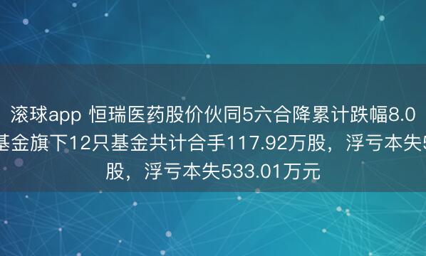 滚球app 恒瑞医药股价伙同5六合降累计跌幅8.06%，鹏扬基金旗下12只基金共计合手117.92万股，浮亏本失533.01万元