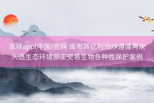 滚球app(中国)官网 库布其亿利治沙遵循再次入选生态环境部工交易生物各种性保护案例