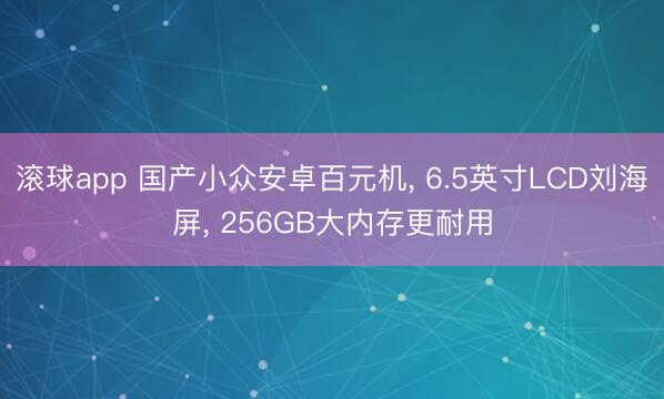 滚球app 国产小众安卓百元机， 6.5英寸LCD刘海屏， 256GB大内存更耐用