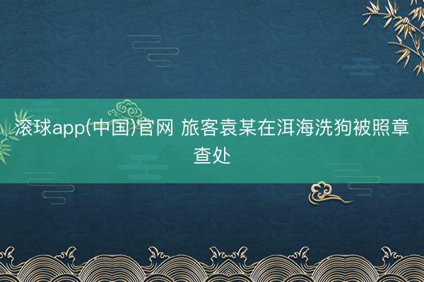 滚球app(中国)官网 旅客袁某在洱海洗狗被照章查处