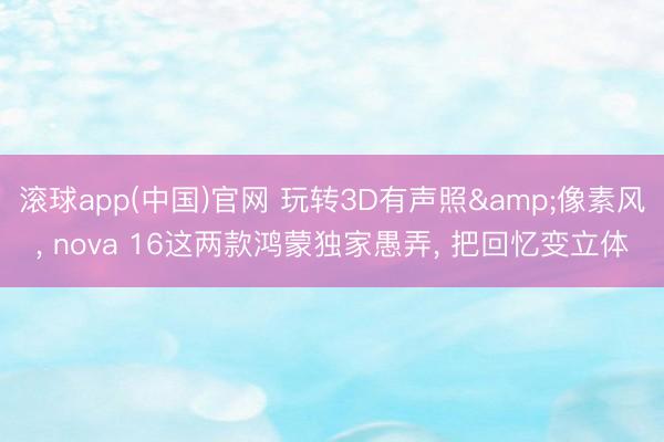 滚球app(中国)官网 玩转3D有声照&像素风， nova 16这两款鸿蒙独家愚弄， 把回忆变立体