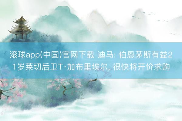 滚球app(中国)官网下载 迪马: 伯恩茅斯有益21岁莱切后卫T·加布里埃尔， 很快将开价求购