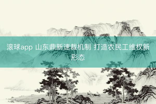 滚球app 山东鼎新速裁机制 打造农民工维权新形态