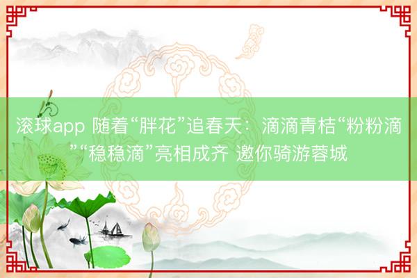 滚球app 随着“胖花”追春天：滴滴青桔“粉粉滴”“稳稳滴”亮相成齐 邀你骑游蓉城
