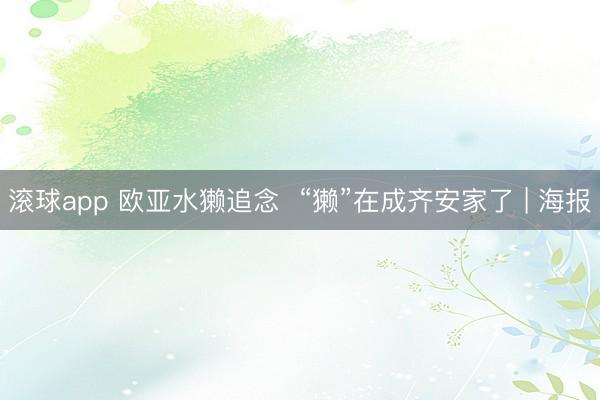 滚球app 欧亚水獭追念  “獭”在成齐安家了 | 海报