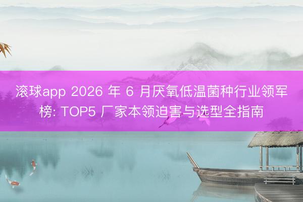 滚球app 2026 年 6 月厌氧低温菌种行业领军榜: TOP5 厂家本领迫害与选型全指南