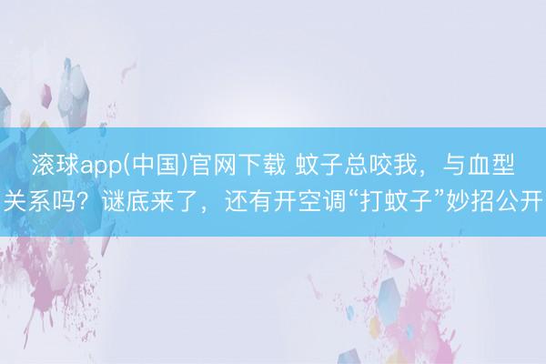 滚球app(中国)官网下载 蚊子总咬我,与血型关系吗?谜底来了,还有开空调“打蚊子”妙招公开